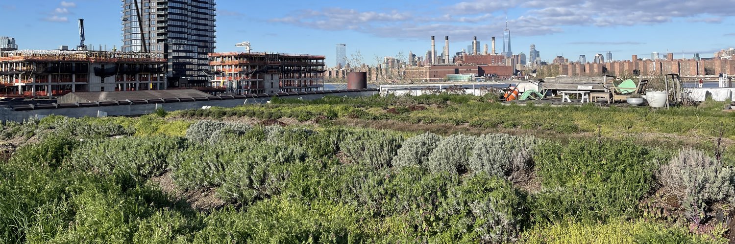Eagle Street Rooftop Farm banner