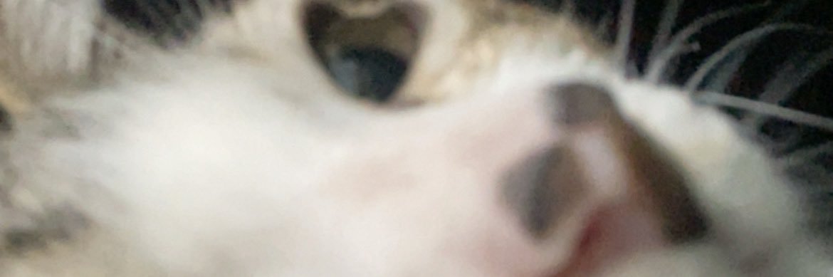 🌟 banner