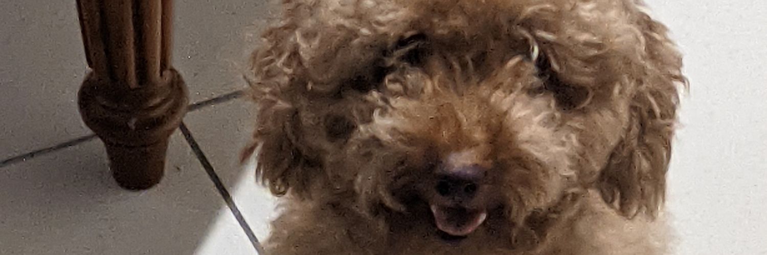 𝗚𝗮𝗯𝘂𝗿𝗶𝗲𝗿𝘂 ガブリエル banner