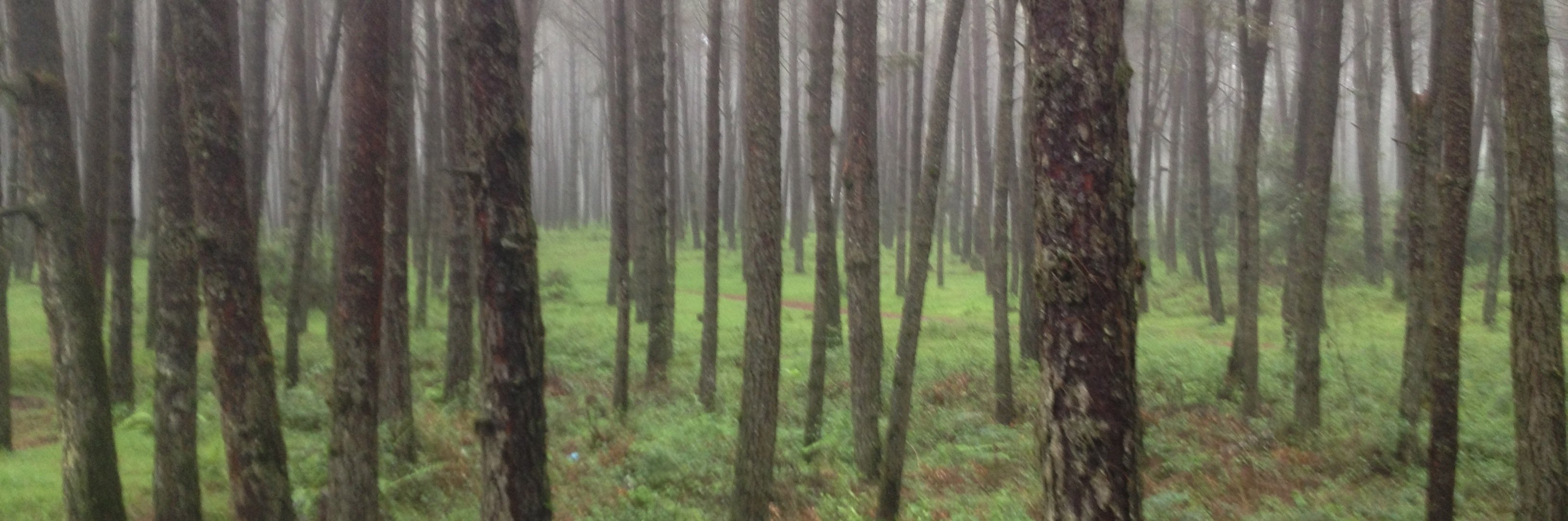 Fabian Octavio banner