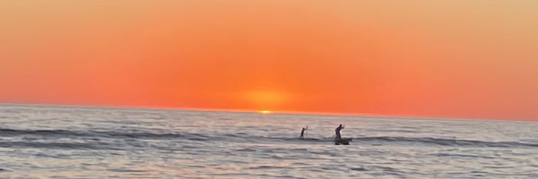 Maria Hidalgo banner