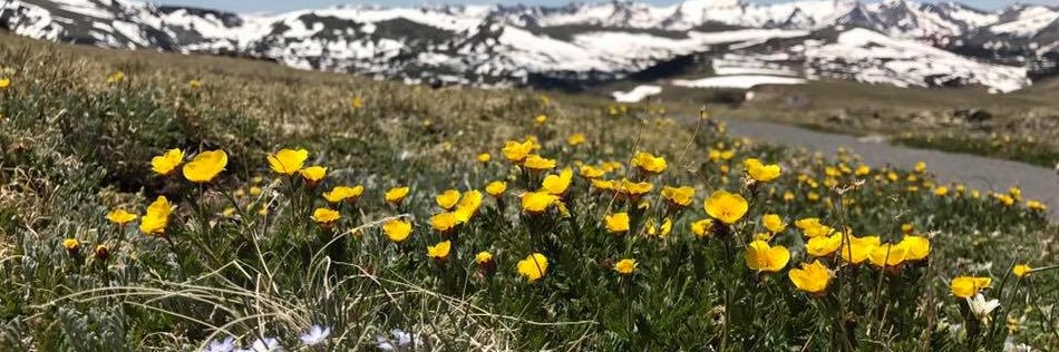 mikeschueler's profile banner image