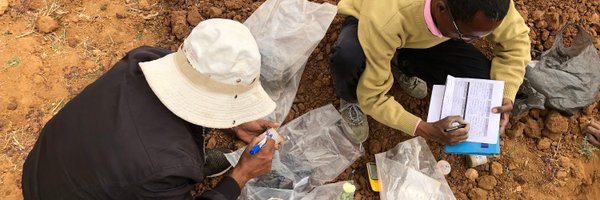 Soils4A Profile Banner