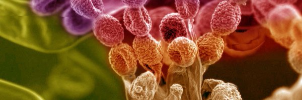 MiCRop_research Profile Banner