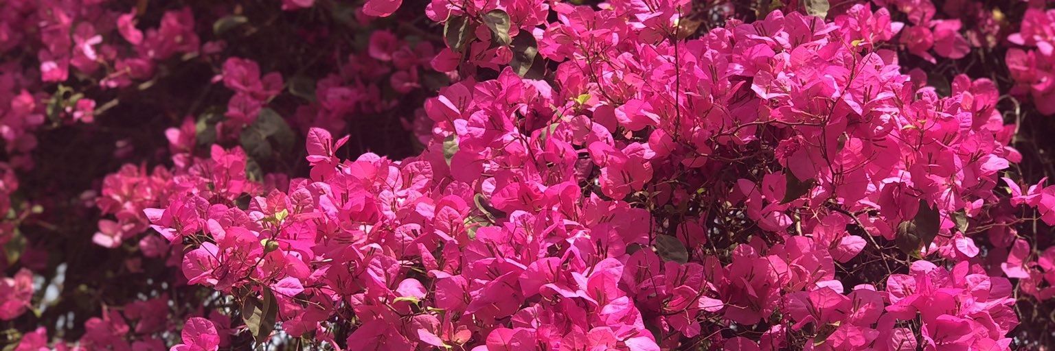anilankush501's profile banner image