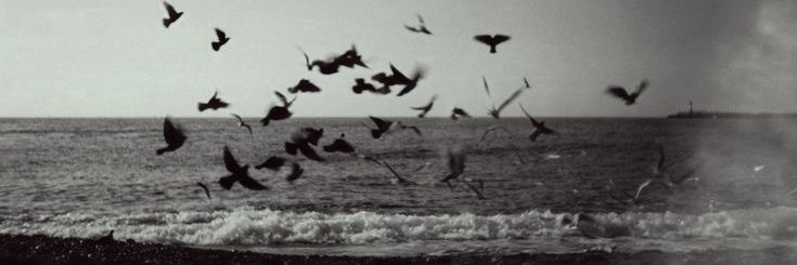 Sinthya Anandari. banner