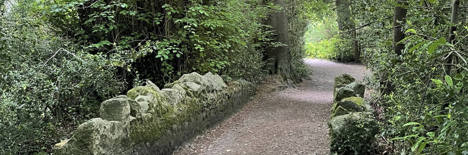 Irish Spirits banner