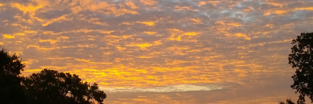 dmannion's profile banner image