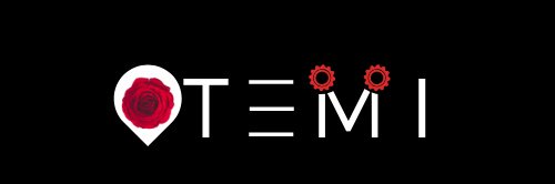 TEMI🌹's banner