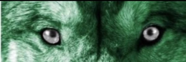 IrvinCoachLo Profile Banner