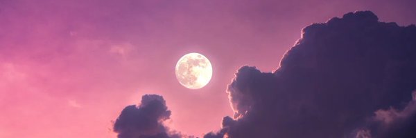 Miikotorii Profile Banner