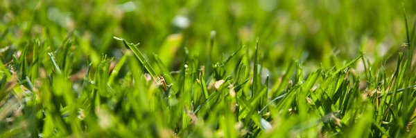 IES_UK Profile Banner