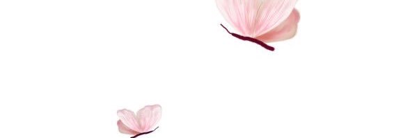mikeeaillysse's profile banner image