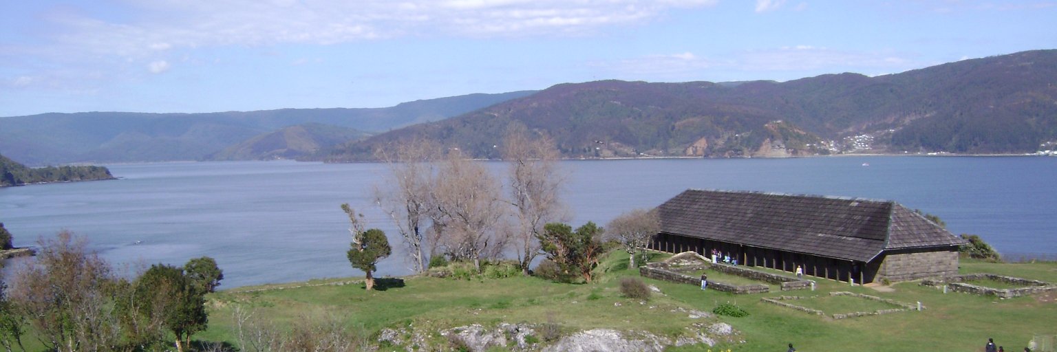 Pedro Vergara banner