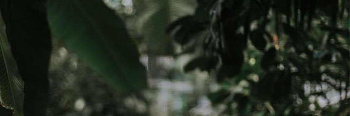 ليلَاهْ💎 banner