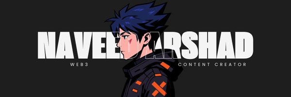 0xNaveed Profile Banner