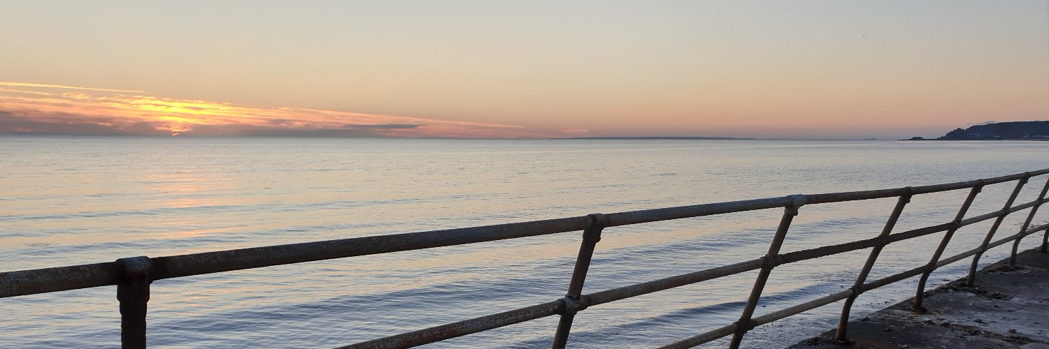 Dr Michael Sleath banner