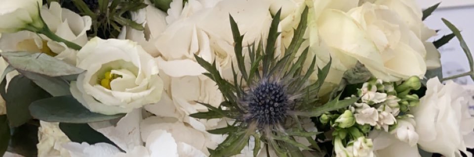 gemma_sutton_'s profile banner image