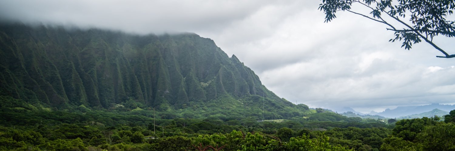 Naz Jahanshahi banner