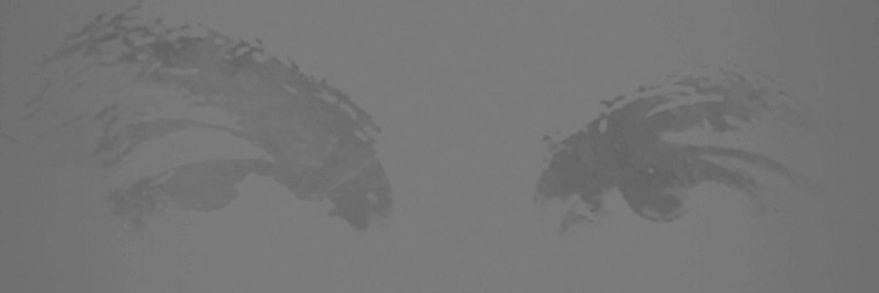 alian1217's profile banner image