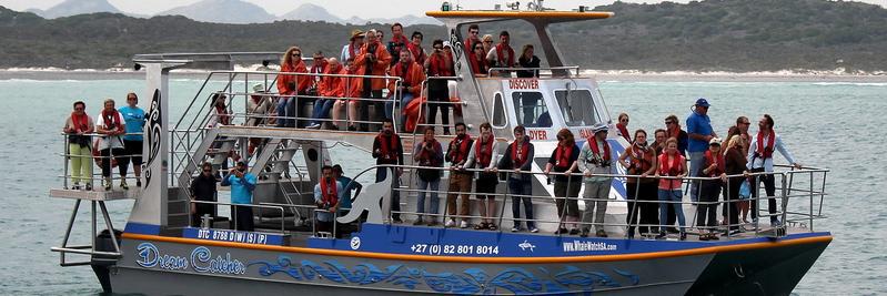 Dyer Island Cruises banner