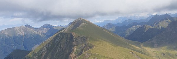 AvanciniAlice Profile Banner
