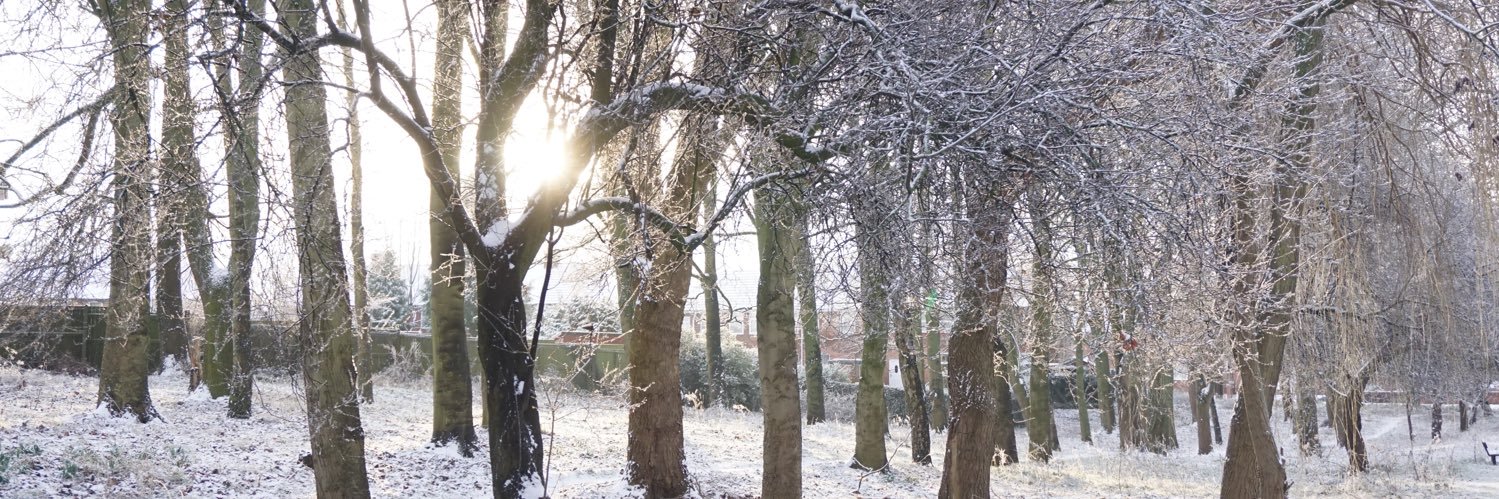 SamuelBaines's profile banner image