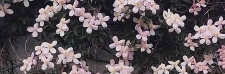 DalejaCD's profile banner image