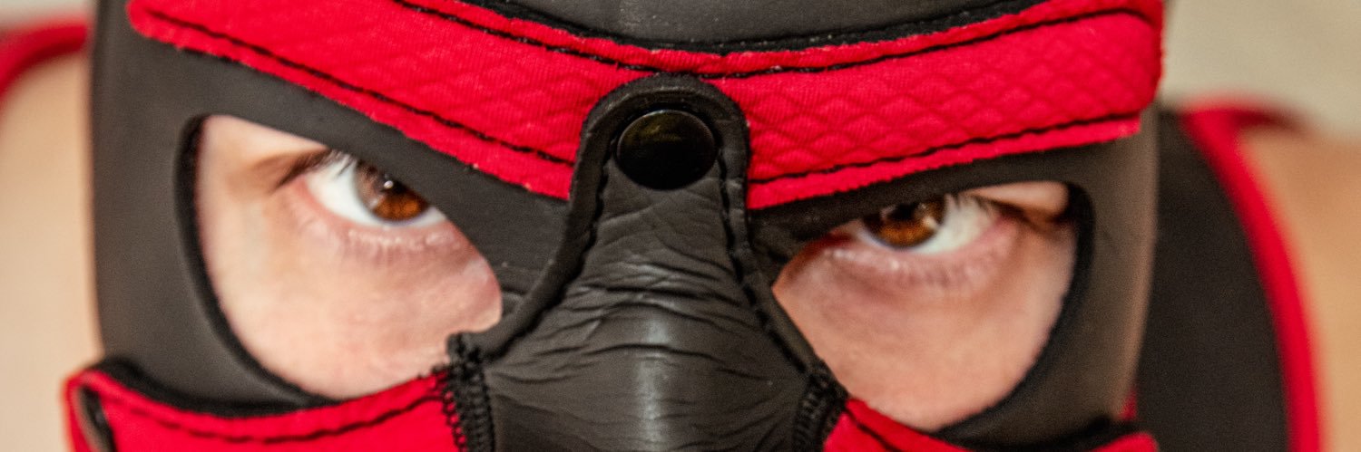 Pup Alex banner