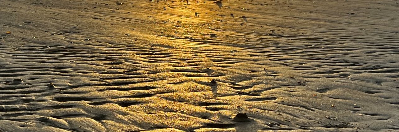 Richard Torricelli banner