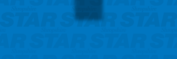 SueAustin_Star Profile Banner