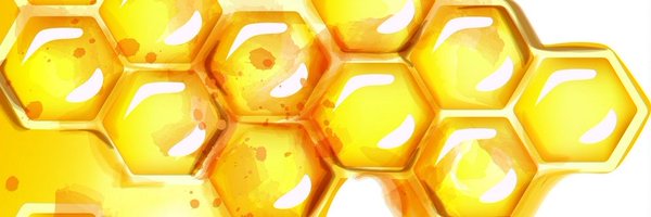 _Honeybeetle Profile Banner