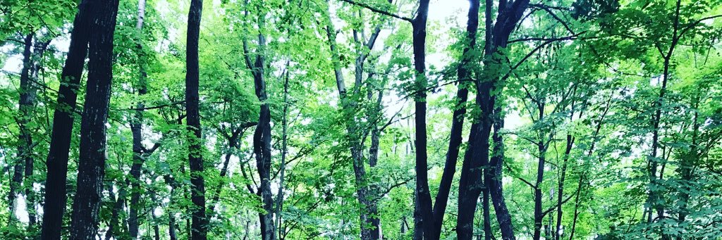 DocKarmenW's profile banner image