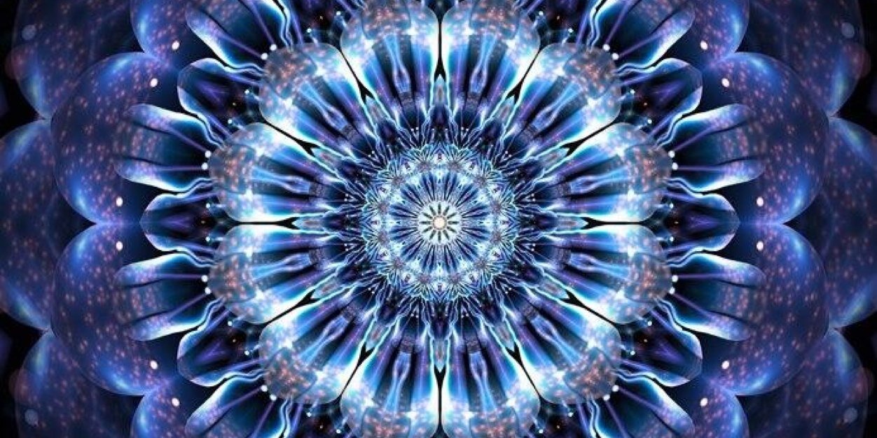 sonialiber's profile banner image
