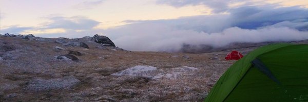 FioritiMaxx Profile Banner