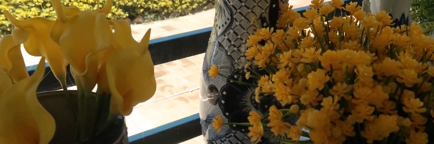 mpzuleth's profile banner image