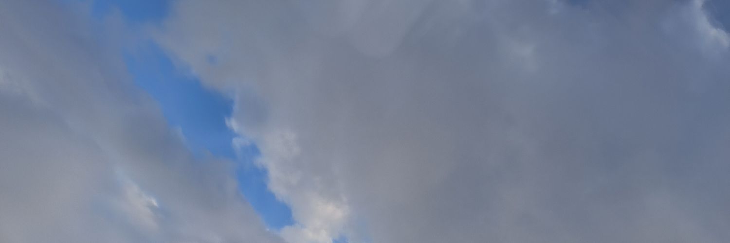 n banner