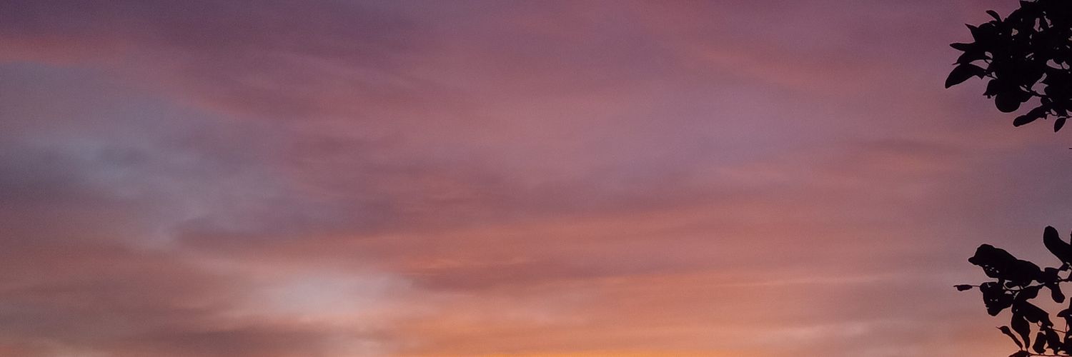 luuuambrosio's profile banner image