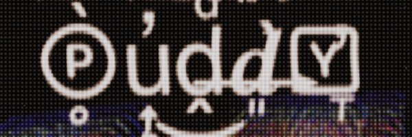 Puddy Profile Banner