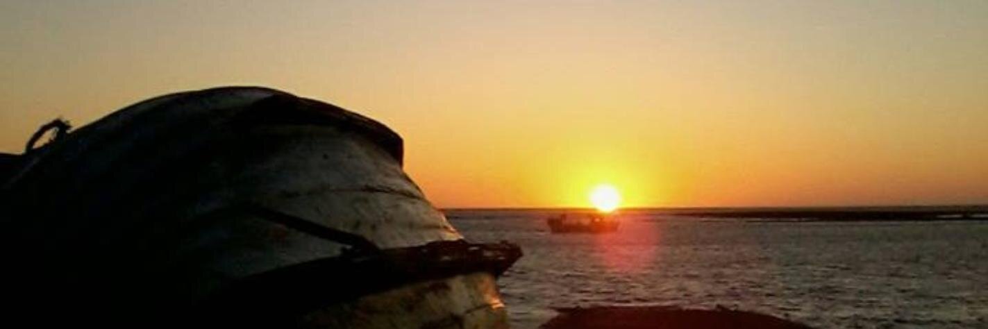 Laura Connaughton banner