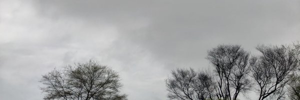 debugsenpai Profile Banner