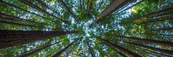 ravivullman Profile Banner