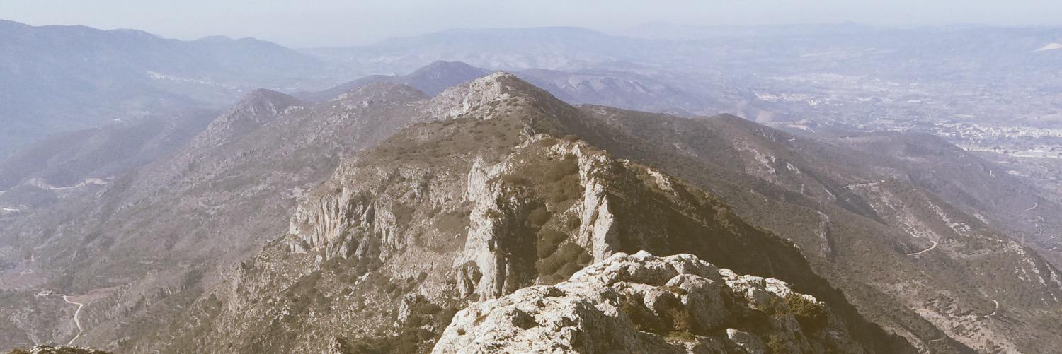 simfonies's profile banner image