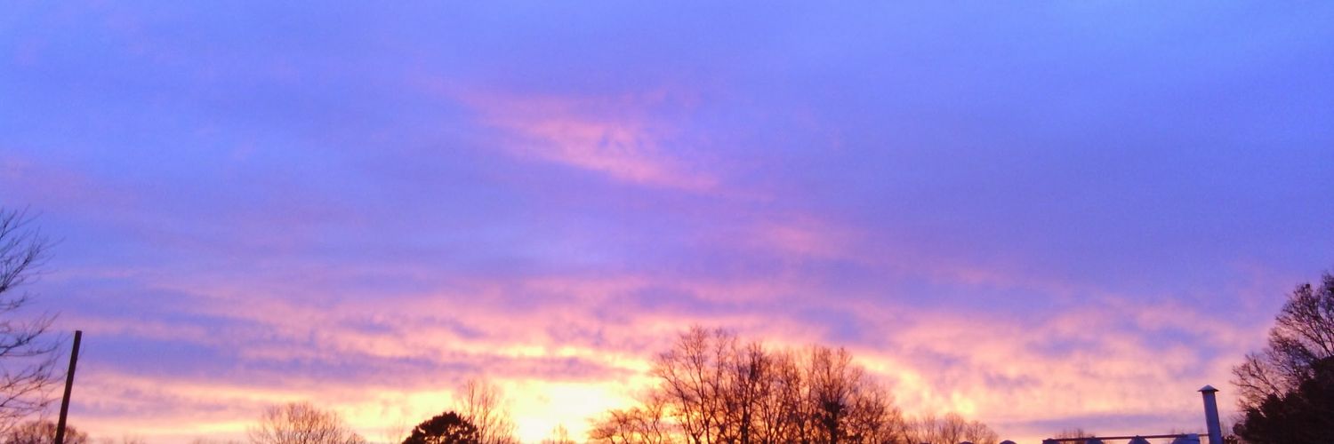 Debbie Warren banner