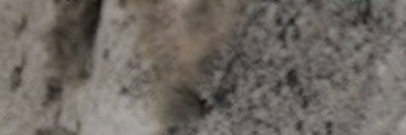 — 𝓘𝐒𝐀𝐀𝐂.'s banner