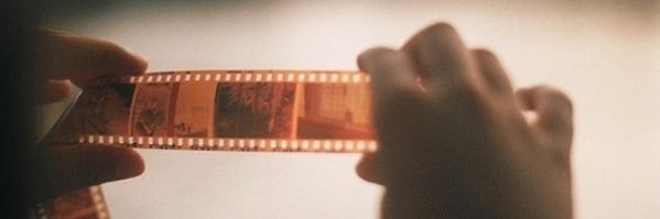 alejandra banner