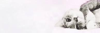 Tatielens2's profile banner image