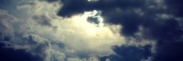 Белка-шелтяга banner