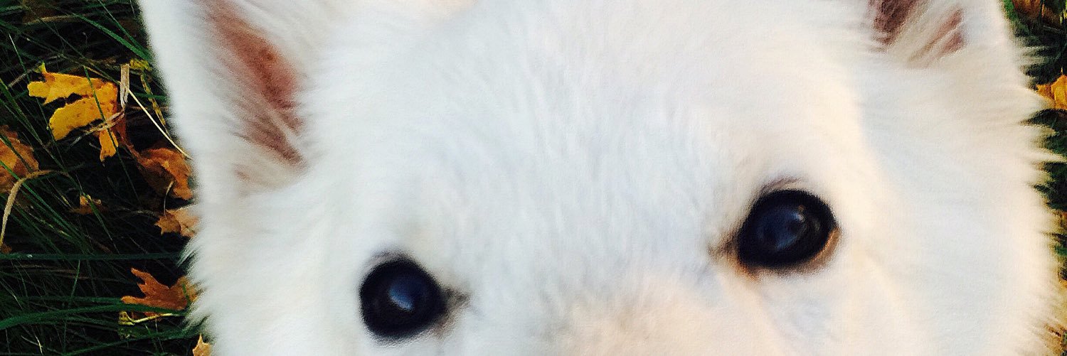 hannahillstrm's profile banner image