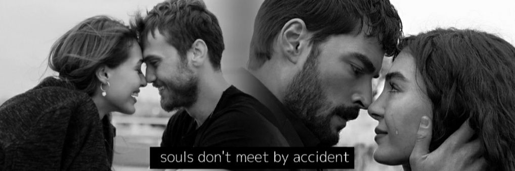 Steph🌻🦋 banner